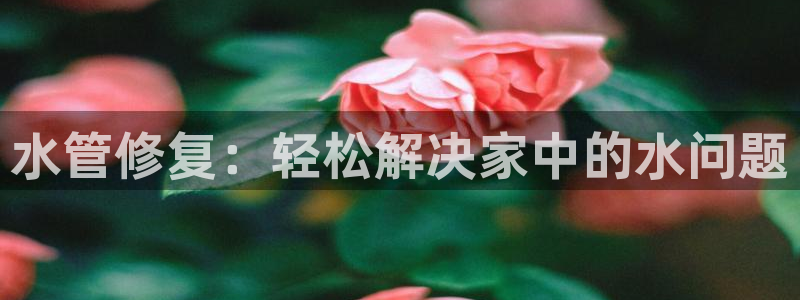 天辰娱乐39596