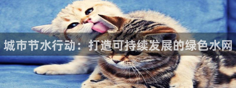 天辰娱乐传媒