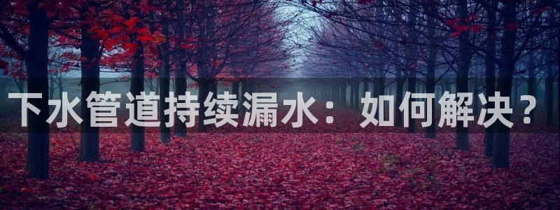 天辰娱乐平台