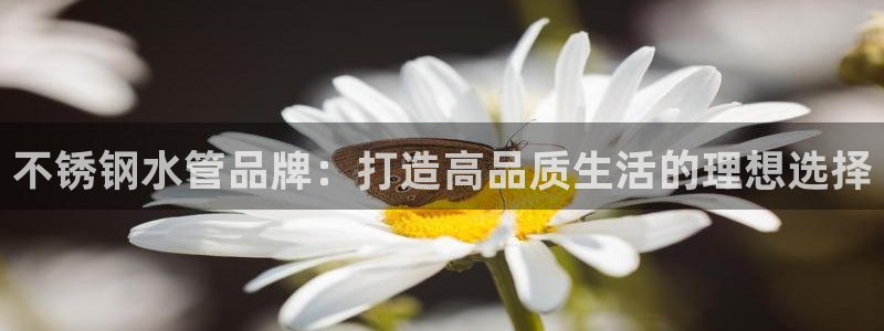天辰娱乐黑人