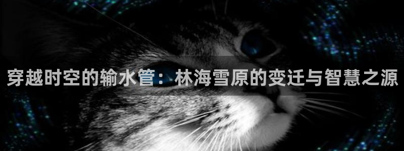 天辰娱乐44516