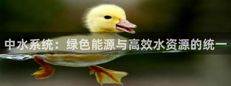 天辰娱乐官网平台入口