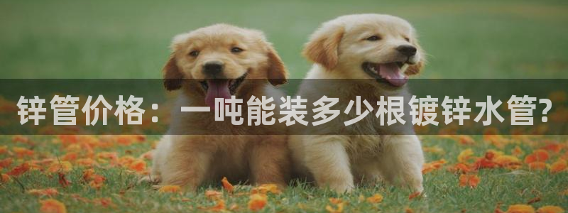 菲律宾天辰娱乐